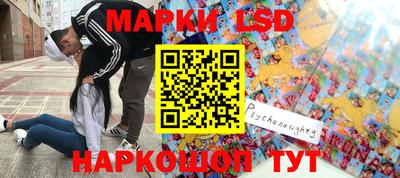 СК Новокубанск