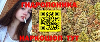 MESCALINE Новодвинск