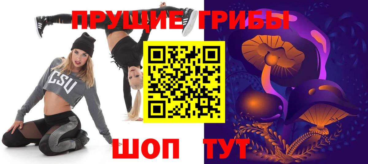 Псилоцибиновые грибы Psilocybe  Вход с VPN  Псилоцибиновые грибы Psilocybine cubensis  что такое   Тара 