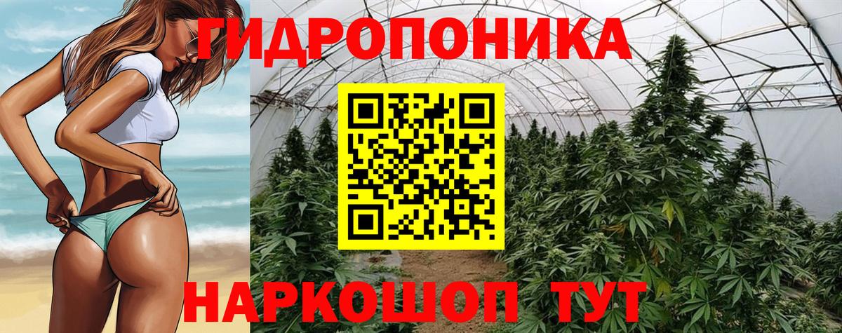 Канабис White Widow  Бошки Шишки конопля  Тара  Вход с VPN 